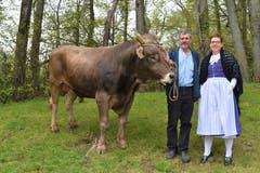 Der erste Lebendpreis am Isaf 2019, der Muni Maestro, mit Züchter Hermann Imlig und Sara Fedier, Fachspezialistin Marketing und Kommunikation bei der Urner Kantonalbank (von links). (Bild: PD)