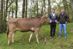 Der dritte Lebendpreis am Isaf 2019, Rind Evalena, mit Besitzer Michi Briker und Simon Triulzi, Leiter Verkaufsstelle Flüelen, HG Commerciale Luzern (von links). (Bild: PD)