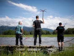 Rheinholzer warten am Mittwoch, 12. Juni, in Kriessern SG auf Schwemmholz, um es mit Wurfhaken zu fangen. (Bild: KEYSTONE/GIAN EHRENZELLER)