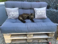 Eigentlich ist dies MEIN Lieblingsplatz! Doch kann man sich über alles streiten :-) (Bild: Brigitte Henggeler, Oberägeri, 12. Juni 2019)