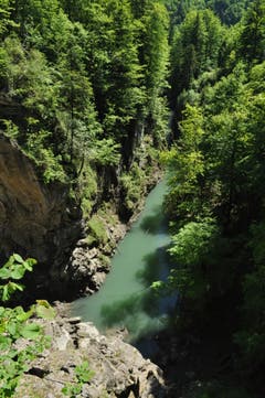 Nur etwas für Schwindelfreie: Der Blick über die Rappenlochschlucht.