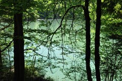 Auf dem Staufensee Rundweg.