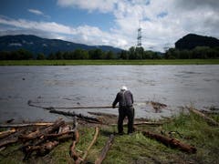 Rheinholzer Hans Rohner holt Schwemmholz aus dem Rhein, beim sognenannten «Rheinholzen», am Mittwoch, 12. Juni 2019, in Kriessern SG. Es handelt sich um eine im St. Galler Rheintal bekannte Tradition. (Bild: KEYSTONE/GIAN EHRENZELLER)