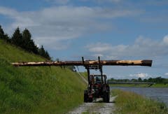 Abtransport der Stämme.
