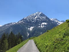 Der Weg zum Bristen ist noch weit. (Bild: Claire Calcagni-Müller, Arnisee, 13. Juni 2019)