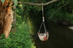 Was hängt denn da am Ast? (Bild: Irene Wanner, Wauwiler Moos, 13. Juni 2019)