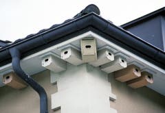 Wenn Häuser energetisch abgedichtet werden, gehen häufig Niststandorte von Seglern (und anderen Vögeln) verloren. Da die Nester von Mauer- und Alpenseglern geschützt sind, muss in solchen Fällen Ersatz geschaffen werden, was weder technisch anspruchsvoll noch teuer ist. (Bild: Schweizer Vogelschutz/KEY - 19. April 2005)