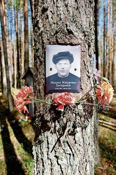 Gedenkwald: Erinnerung an die Opfer des stalinistischen Terrors.