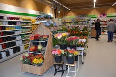 Die grosszügig angelegte Blumenabteilung. (Bild: Beat Lanzendorfer)
