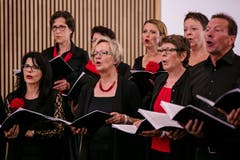 Der Kirchenchor Ballwil. (Bild: Philipp Schmidli, Hitzkirch, 16. Juni 2019)