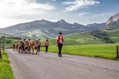 Überefahre, Richtung Lehmen. (Bild: Roman Jäger)
