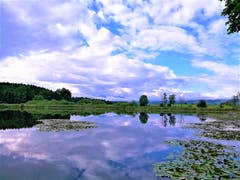 Morgenstimmung mit Wolkenformationen am Himmel über dem Sempachersee. (Bild: Urs Gutfleisch, Sempach, 16. Juni 2019)