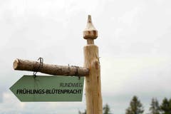 Schlicht und einfach: Rudimentäre Schnitzkunst! Gesehen am Kronberg. (Bild: Walter Schmidt)