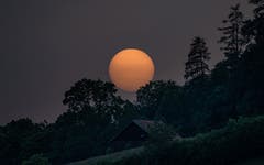 Sonnenuntergang in Herisau, Die Sonne hat sich als Mond verkleidet. (Bild: Luciano Pau)