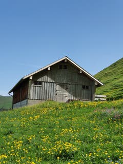 Frühlingserwachen auf der Schwägalp. (Bild: Stephan Lendi)