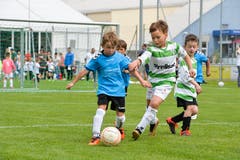 FCK Family Day in Kreuzlingen: Hier spielen die Bambini des FC Kreuzlingen gegen die der AS Calcio (blau). (Bild: Donato Caspari)