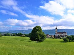 Wunderschöne Naturlandschaft mit Blick auf die Kirche Nottwil am Sempachersee (Bild: Urs Gutfleisch, Nottwil, 17. Juni 2019)
