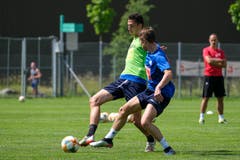 Remo Arnold (links) und Marco Burch. (Bild: Martin Meienberger / Freshfocus, Luzern, 17. Juni 2019)