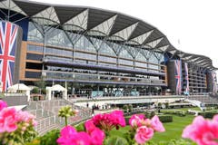 Alle Jahre wieder veranstaltet die britische Königsfamilie das «Royal Ascot» Pferderennen. Die Veranstaltungen dauern eine Woche. (Bild: Chris Jackson/Getty Images, Ascot, 18. Juni 2019)