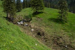 Bei genauerer Betrachtung erkennt man die vielen Äste und Felsbrocken in der Senke.