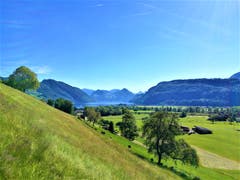 Wunderschöne Aussicht auf den Alpnachersee. (Bild: Urs Gutfleisch, Alpnach, 2. Juni 2019)
