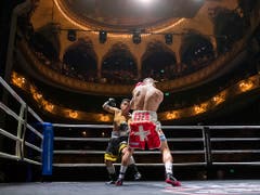 Chervet feierte nach acht Runden à drei Minuten einen nie gefährdeten Sieg nach Punkten (80:71 Richterstimmen) (Bild: KEYSTONE/PETER KLAUNZER)