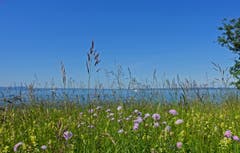 Der See macht die Musik! "Seeaugenblick" bei Steinach. (Bild: Walter Schmidt)