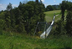 Attraktiv und stark frequentiert! Die überraschend grosse, schöne Hängebrücke zwischen Grub AR und Grub SG. (Bild: Walter Schmidt)