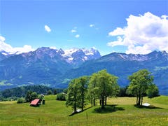 Wunderschöne Naturlandschaft mit herrlicher Aussicht auf die Berge. (Bild: Urs Gutfleisch, Hasliberg BE, 19. Juni 2019)
