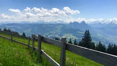 Herrlich, dieser Blick Richtung Mythen und Glarner Alpen... (Bild: Peter Bumbacher, 18. Juni 2019, Langmatt oberhalb Steinerberg SZ)