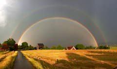 Herrlicher Regenbogen über Buonas. (Bild: Priska Arnold, 20. Juni 2019)