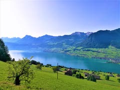 Traumhafte Aussicht auf den Vierwaldstättersee und die Berge. (Bild: Urs Gutfleisch, Bürgenstock, 25. Juni 2019)
