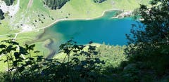 Seealpsee: Farbklecks auf grünem Kleid. (Bild: Klaus Businger)