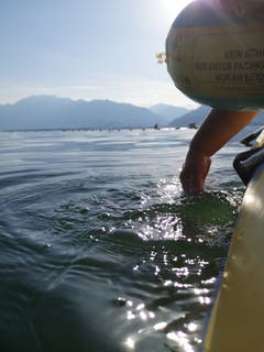 Beim «Böötle» geniessen unsere Leser den kühlen Lago Maggiore. (Bild: Bianca Fischer, Tenero, 25. Juni 2019)