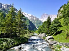 Zu Fuss unterwegs von der Fürenalp nach Engelberg. (Bild: Urs Gutfleisch, 26. Juni 2019)
