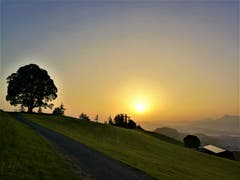 Traumhafter Sonnenaufgang mit Blick auf die Rigi. (Bild: Urs Gutfleisch, Holderchäppeli LU, 27. Juni 2019)