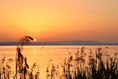 Ein Traum: Sommerlicher Sonnenaufgang am Sempachersee. (Bild: Xaver Husmann, Sempach, 27. Juni 2019)
