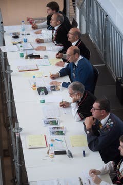 Die Jury bewertet die Darbietungen der Fahnenschwinger – und verteilt wenn nötig Strafpunkte. (Bild: Boris Bürgisser, Horw, 28.06.2019)