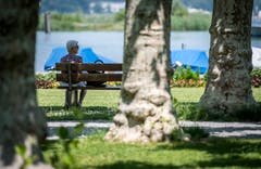 Kreuzlingen TG - Hitze im Thurgau: Impressionen aus dem Seeburgpark in Kreuzlingen.