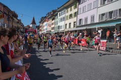 (Bild: Boris Bürgisser, Sempach, 29. Juni 2019)