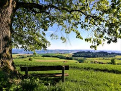 Ein schattiges Plätzchen mit herrlicher Aussicht auf die Landschaft. (Bild: Urs Gutfleisch, Ruswil, 3. Juni 2019)