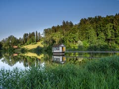 Der Wenigerweiher. (Bild: Luciano Pau)