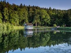 Die stille Spiegelung des Wenigerweihers. (Bild: Luciano Pau)