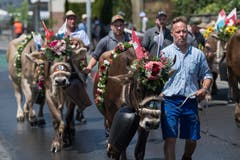 Impressionen vom Festumzug - Bauer Matthias Studhalter aus Horw mit seinen Kühen. (Bild: Boris Bürgisser)