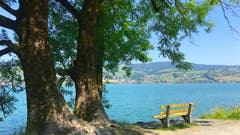 Bei dieser Hitze kommt ein schattiges Plätzchen am Ägerisee sehr gelegen. (Bild: Peter Bumbacher, Unteräger, 30. Juni 2019)