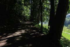 Wie gewünscht - Schatten an der Demutstrasse im Berneggwald. (Bild: Walter Schmidt)