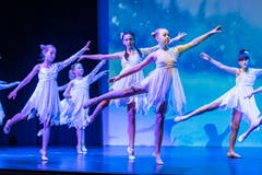 Die Aufführung des Tanzalteliers Zug in der Aegerihalle mit dem Programm "Sommernachtszauber" (Christian H. Hildebrand, Unterägeri 28.Juni 2019)
