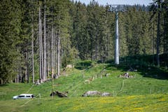 Beim tragischen Arbeitsunfall auf der Gerschnialp kam ein Mitarbeiter der Titlisbahnen ums Leben. (Bild: Keystone/Urs Flüeler, 5. Juni 2019)