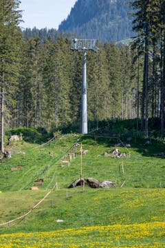 Der tragische Unfall wirft einen Schatten auf die Alpidylle auf der Gerschni. (Bild: Keystone/Urs Flüeler, 5. Juni 2019)