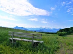 Von diesem Ruhebänkli kann man die Aussicht auf die Naturlandschaft und die Berge geniessen. (Bild: Urs Gutfleisch, Römerswil, 5. Juni 2019)